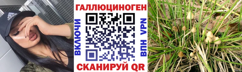 Галлюциногенные грибы Cubensis  МЕГА как зайти  Новая Ляля 